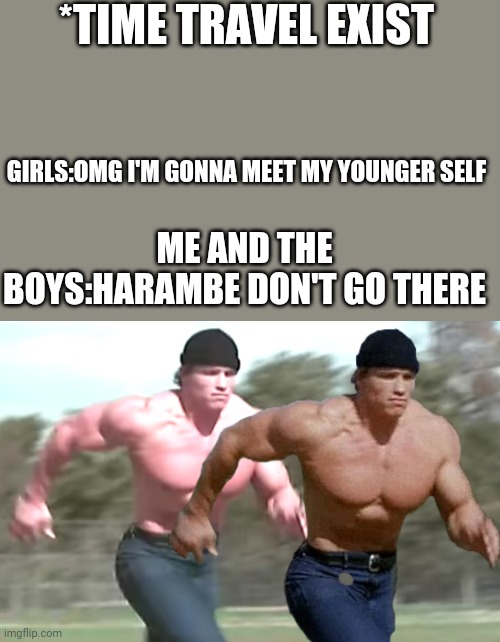 Time travel | *TIME TRAVEL EXIST; GIRLS:OMG I'M GONNA MEET MY YOUNGER SELF; ME AND THE BOYS:HARAMBE DON'T GO THERE | image tagged in time travel | made w/ Imgflip meme maker