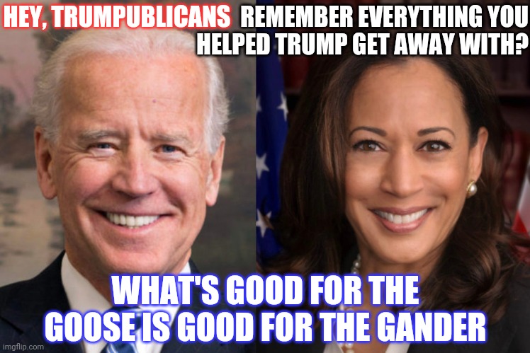 Karma Kamala | HEY, TRUMPUBLICANS; REMEMBER EVERYTHING YOU HELPED TRUMP GET AWAY WITH? WHAT'S GOOD FOR THE GOOSE IS GOOD FOR THE GANDER | image tagged in memes,biden harris,kamala harris,vote biden,vote,it's our only hope | made w/ Imgflip meme maker