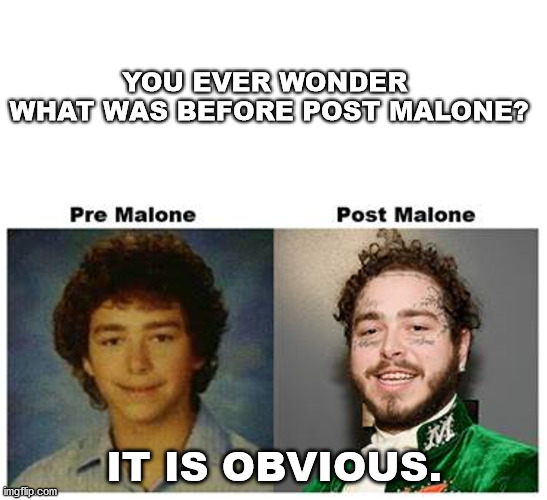 What was before Post Malone | YOU EVER WONDER 
WHAT WAS BEFORE POST MALONE? IT IS OBVIOUS. | image tagged in post malone | made w/ Imgflip meme maker