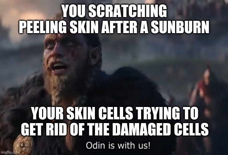Odin is with us! | YOU SCRATCHING PEELING SKIN AFTER A SUNBURN; YOUR SKIN CELLS TRYING TO GET RID OF THE DAMAGED CELLS | image tagged in odin is with us | made w/ Imgflip meme maker