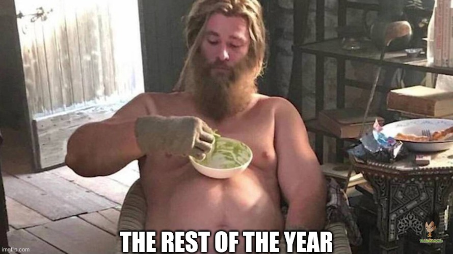Fat Thor | THE REST OF THE YEAR | image tagged in fat thor | made w/ Imgflip meme maker