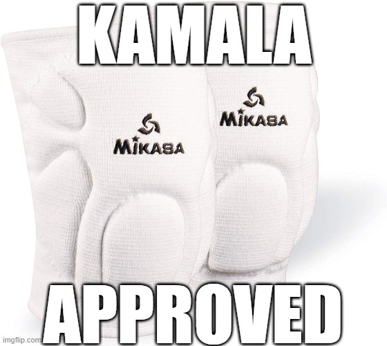 VP--LOL | KAMALA; APPROVED | image tagged in kneepads | made w/ Imgflip meme maker