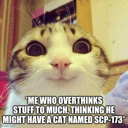 Smiling Cat Meme | *ME WHO OVERTHINKS STUFF TO MUCH, THINKING HE MIGHT HAVE A CAT NAMED SCP-173* | image tagged in memes,smiling cat | made w/ Imgflip meme maker