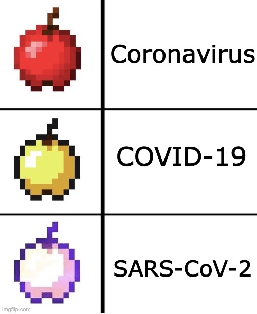 Fourth panel: The virus responsible for SARS-CoV-2 |  Coronavirus; COVID-19; SARS-CoV-2 | image tagged in minecraft apple format,coronavirus | made w/ Imgflip meme maker