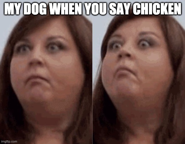 Abby Lee vs Jessie | MY DOG WHEN YOU SAY CHICKEN | image tagged in memes | made w/ Imgflip meme maker