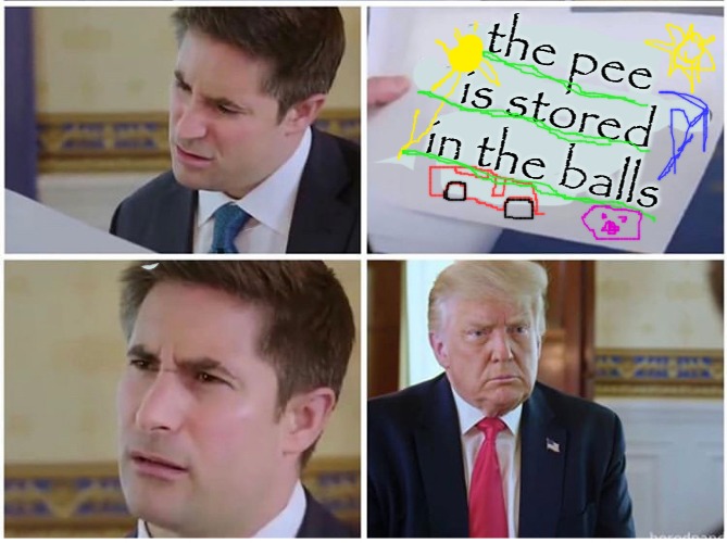 the pee is stored in the balls | image tagged in trump | made w/ Imgflip meme maker