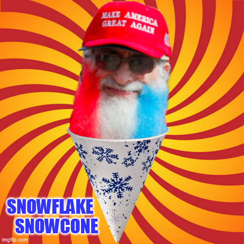 snowflakes | SNOWFLAKE
    SNOWCONE | image tagged in snowflakes,snowcone,ice,maga,clown car republicans,treats | made w/ Imgflip meme maker