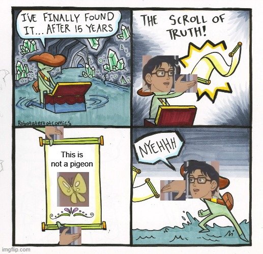 The Scroll Of Truth Meme | This is not a pigeon | image tagged in memes,the scroll of truth,crossover,is this a pigeon | made w/ Imgflip meme maker