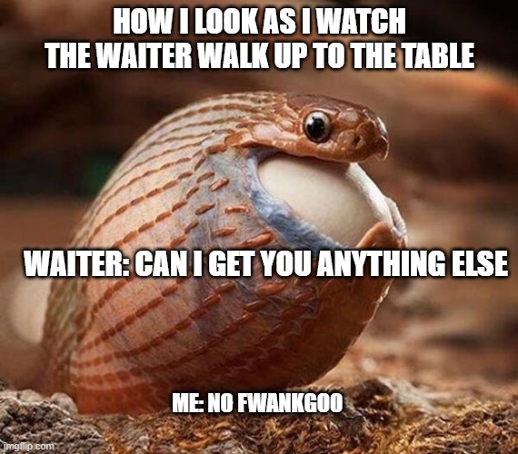 HOW I LOOK AS I WATCH THE WAITER WALK UP TO THE TABLE; WAITER: CAN I GET YOU ANYTHING ELSE; ME: NO FWANKGOO | image tagged in waitress,hungry,repost,funny | made w/ Imgflip meme maker