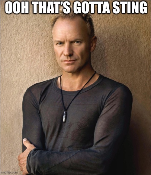 Gonna sting | OOH THAT’S GOTTA STING | image tagged in sting,funny memes | made w/ Imgflip meme maker