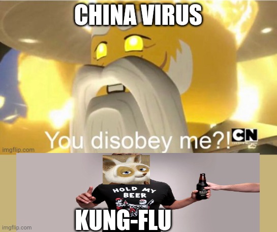 You disobey me?! | CHINA VIRUS KUNG-FLU | image tagged in you disobey me | made w/ Imgflip meme maker
