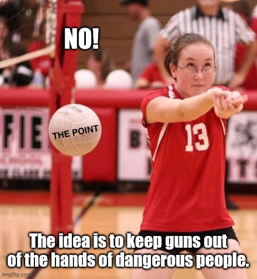 You missed the point | NO! The idea is to keep guns out of the hands of dangerous people. | image tagged in you missed the point | made w/ Imgflip meme maker