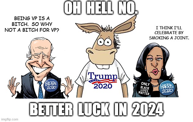 Biden Harris 2020 - Sign of No Hope for Democrats this Year. | OH  HELL  NO. BEING VP IS A BITCH.  SO WHY NOT A BITCH FOR VP? I THINK I'LL CELEBRATE BY SMOKING A JOINT. BETTER  LUCK  IN  2024 | image tagged in joe biden,kamala harris,democrats,blm,george floyd,2020 elections | made w/ Imgflip meme maker