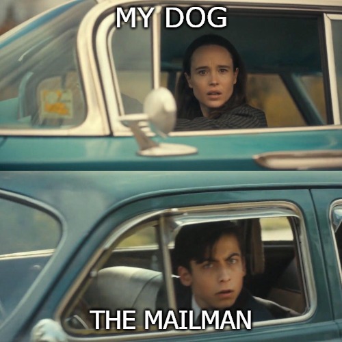 MY DOG; THE MAILMAN | image tagged in mailman | made w/ Imgflip meme maker