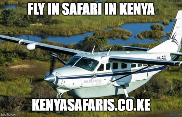 Fly In Safari In Kenya | FLY IN SAFARI IN KENYA; KENYASAFARIS.CO.KE | image tagged in travel,fly in safari in kenya,kenya safari | made w/ Imgflip meme maker