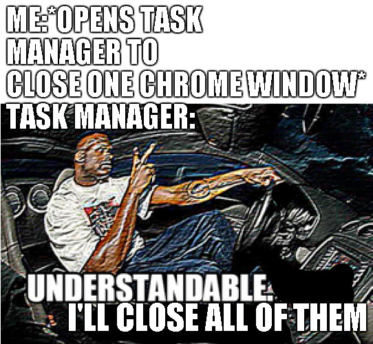 UNDERSTANDABLE, HAVE A GREAT DAY | ME:*OPENS TASK MANAGER TO CLOSE ONE CHROME WINDOW*
TASK MANAGER:; I'LL CLOSE ALL OF THEM | image tagged in understandable have a great day | made w/ Imgflip meme maker