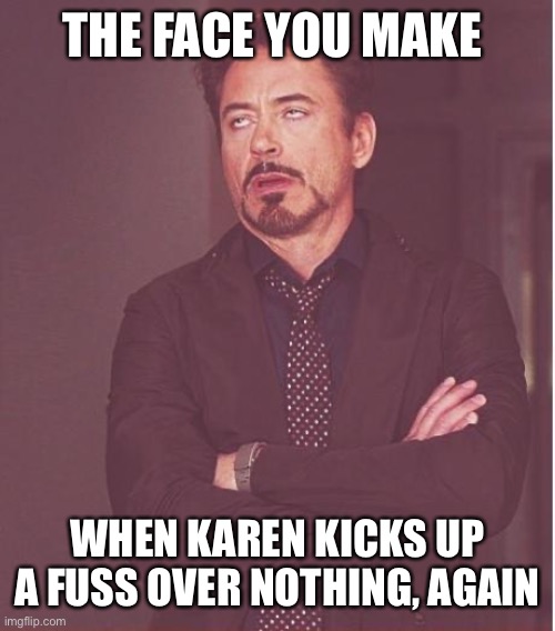Face You Make Robert Downey Jr | THE FACE YOU MAKE; WHEN KAREN KICKS UP A FUSS OVER NOTHING, AGAIN | image tagged in memes,face you make robert downey jr | made w/ Imgflip meme maker