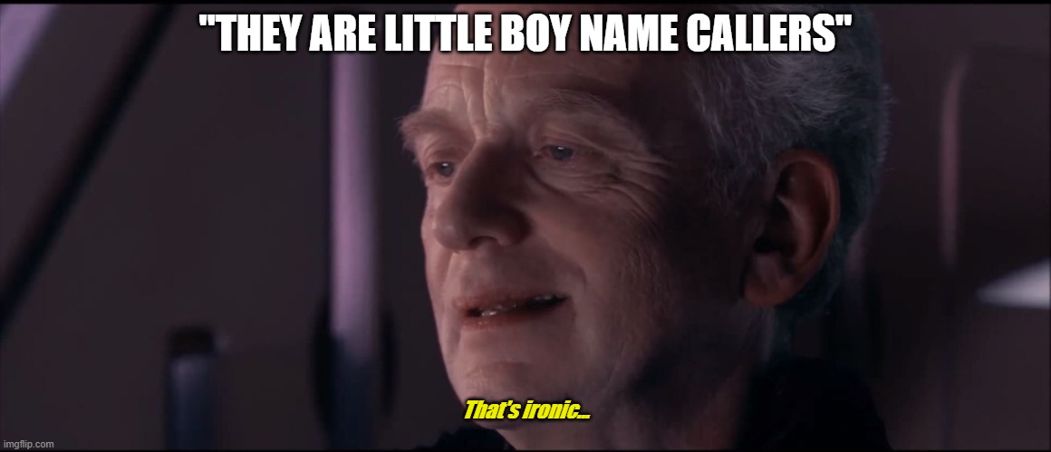 Palpatine Ironic  | "THEY ARE LITTLE BOY NAME CALLERS" That's ironic... | image tagged in palpatine ironic | made w/ Imgflip meme maker