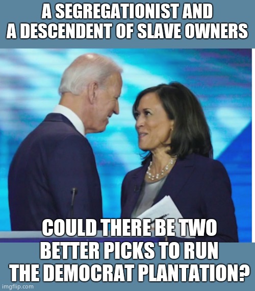 Checks all the boxes | A SEGREGATIONIST AND A DESCENDENT OF SLAVE OWNERS; COULD THERE BE TWO BETTER PICKS TO RUN THE DEMOCRAT PLANTATION? | image tagged in get a room,joe biden,kamala harris,democrat party,plantation,shes the boss | made w/ Imgflip meme maker