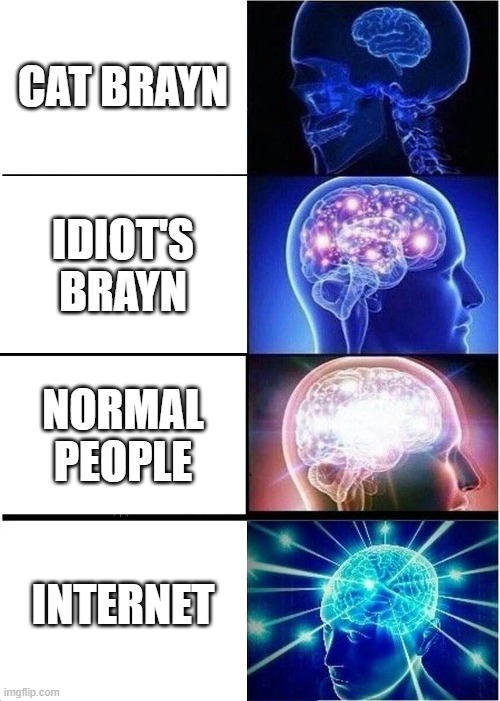 Brayns | CAT BRAYN; IDIOT'S BRAYN; NORMAL PEOPLE; INTERNET | image tagged in memes,expanding brain | made w/ Imgflip meme maker