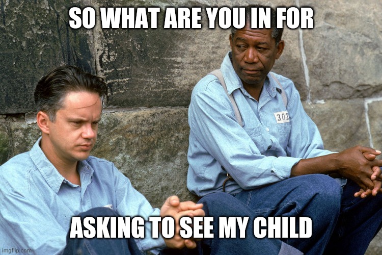 Family court | SO WHAT ARE YOU IN FOR; ASKING TO SEE MY CHILD | image tagged in shawshank | made w/ Imgflip meme maker