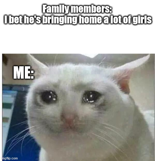 crying cat | Family members:
 I bet he's bringing home a lot of girls; ME: | image tagged in crying cat | made w/ Imgflip meme maker