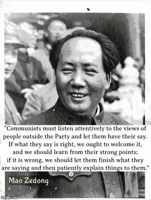 This is cringe: but, useful. See comments. | image tagged in mao zedong,communism,quotes,communist,damn,adults | made w/ Imgflip meme maker