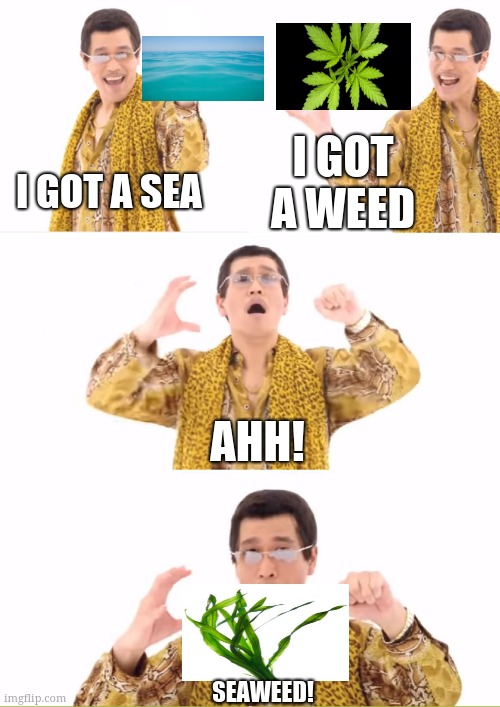 PPAP | I GOT A WEED; I GOT A SEA; AHH! SEAWEED! | image tagged in memes,ppap | made w/ Imgflip meme maker