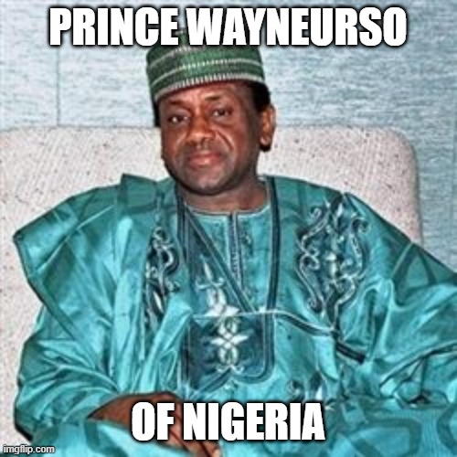 Nigerian Prince | PRINCE WAYNEURSO OF NIGERIA | image tagged in nigerian prince | made w/ Imgflip meme maker