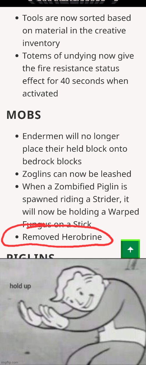 Removed herobrine | image tagged in fallout hold up,minecraft,herobrine | made w/ Imgflip meme maker