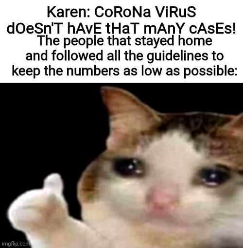 Karen chooses to be an idiot | Karen: CoRoNa ViRuS dOeSn'T hAvE tHaT mAnY cAsEs! The people that stayed home and followed all the guidelines to keep the numbers as low as possible: | image tagged in sad cat thumbs up,memes,funny,coronavirus,cat,crying | made w/ Imgflip meme maker