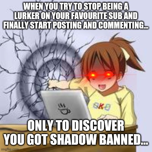 Anime wall punch | WHEN YOU TRY TO STOP BEING A LURKER ON YOUR FAVOURITE SUB AND FINALLY START POSTING AND COMMENTING... ONLY TO DISCOVER YOU GOT SHADOW BANNED... | image tagged in anime wall punch,goodanimemes | made w/ Imgflip meme maker