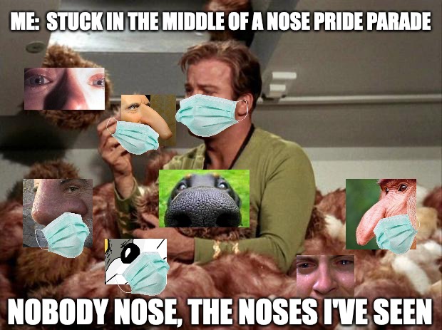 I've never seen so many noses in my life... | ME:  STUCK IN THE MIDDLE OF A NOSE PRIDE PARADE; NOBODY NOSE, THE NOSES I'VE SEEN | image tagged in tribbles,face mask,nose,do it right,nobody nose | made w/ Imgflip meme maker