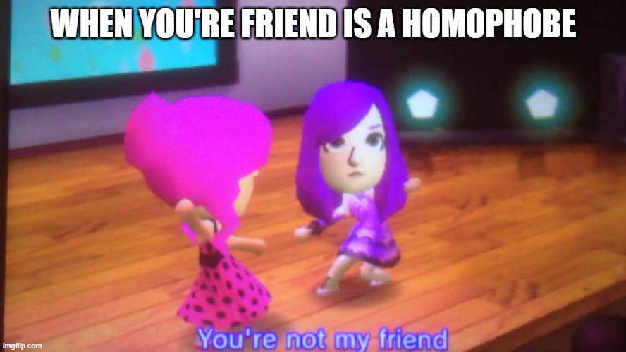 a new template I made | WHEN YOU'RE FRIEND IS A HOMOPHOBE | image tagged in you're not my friend,tomodachi life,homophobic | made w/ Imgflip meme maker