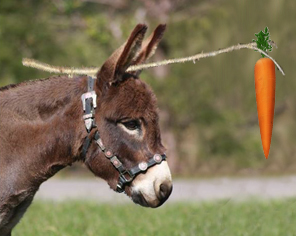 carrot on a stick Blank Meme Template