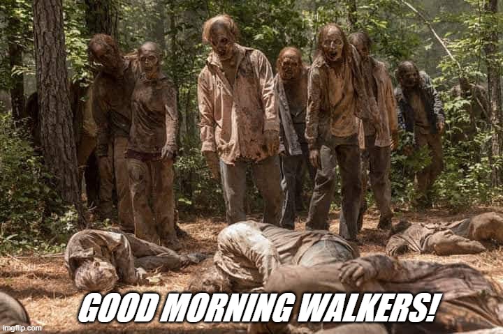 TWD Walkers | GOOD MORNING WALKERS! | image tagged in the walking dead | made w/ Imgflip meme maker