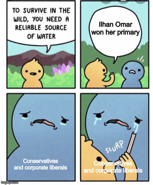 No amount of money and smears will stop a movement. | Ilhan Omar won her primary; Conservatives and corporate liberals; Conservatives and corporate liberals | image tagged in water reliable source- drinks tears,ilhan omar,conservatives,liberals,minnesota,congress | made w/ Imgflip meme maker