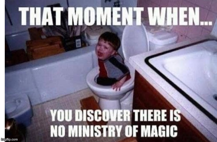I’m not sure if I already posted this or not | image tagged in harry potter,toilet | made w/ Imgflip meme maker