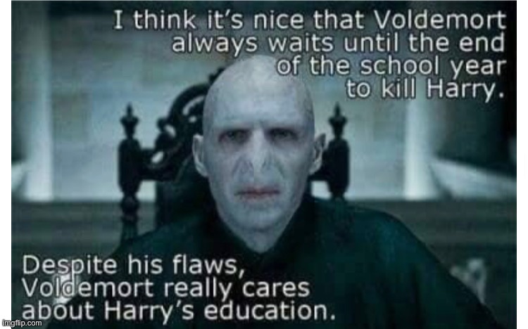 Unless they get NO EDUCATION AT ALL WHILE HARRY’S THERE | image tagged in still a better love story than twilight,harry potter,voldemort | made w/ Imgflip meme maker
