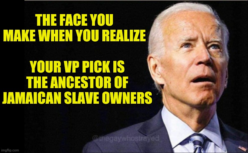 Joe found out who "he" pick | THE FACE YOU MAKE WHEN YOU REALIZE; YOUR VP PICK IS THE ANCESTOR OF JAMAICAN SLAVE OWNERS | image tagged in joe biden,racist biden | made w/ Imgflip meme maker