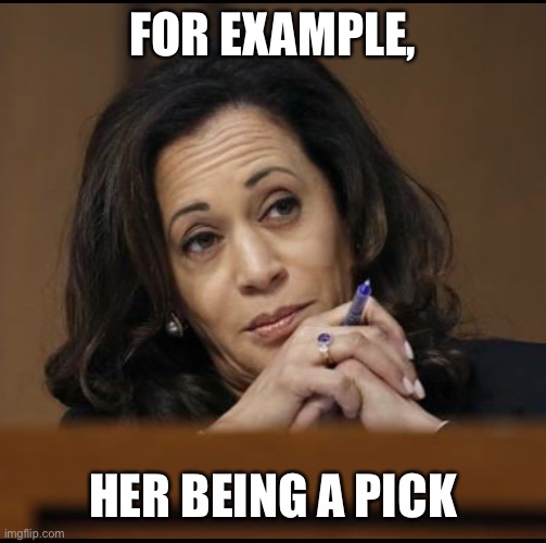 Kamala Harris  | FOR EXAMPLE, HER BEING A PICK | image tagged in kamala harris | made w/ Imgflip meme maker