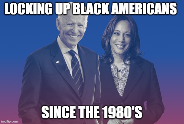 They have 80 years between them | LOCKING UP BLACK AMERICANS; SINCE THE 1980'S | image tagged in joe biden,kamala harris,politics | made w/ Imgflip meme maker