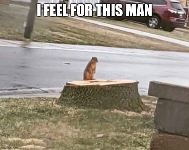 squirl | I FEEL FOR THIS MAN | image tagged in rip | made w/ Imgflip meme maker