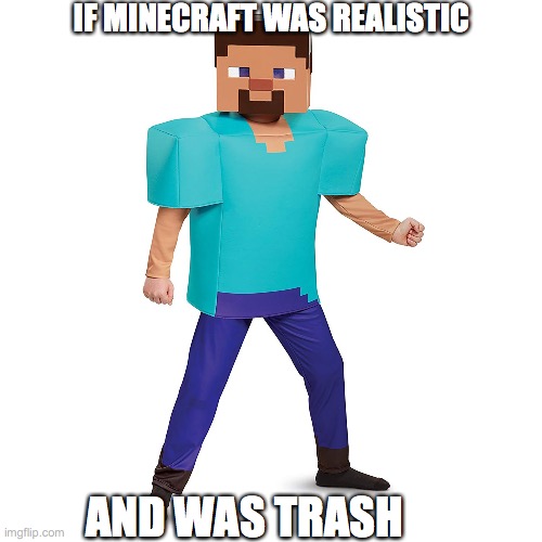 Minecraft Trash Meme | IF MINECRAFT WAS REALISTIC; AND WAS TRASH | image tagged in minecraft steve | made w/ Imgflip meme maker