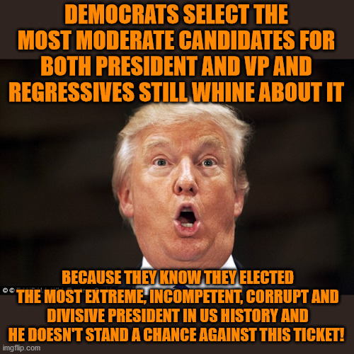 Would you be happier with a Sanders / AOC ticket? | DEMOCRATS SELECT THE MOST MODERATE CANDIDATES FOR BOTH PRESIDENT AND VP AND REGRESSIVES STILL WHINE ABOUT IT; BECAUSE THEY KNOW THEY ELECTED THE MOST EXTREME, INCOMPETENT, CORRUPT AND DIVISIVE PRESIDENT IN US HISTORY AND HE DOESN'T STAND A CHANCE AGAINST THIS TICKET! | image tagged in trumptard,memes,politics | made w/ Imgflip meme maker