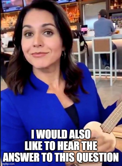 Tulsi Tea | I WOULD ALSO LIKE TO HEAR THE ANSWER TO THIS QUESTION | image tagged in tulsi tea | made w/ Imgflip meme maker