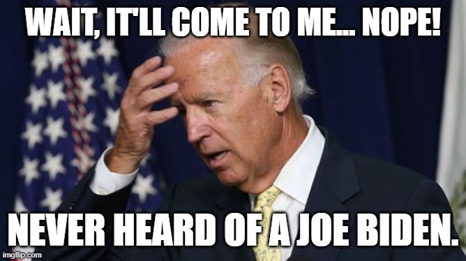 Never heard of a Joe Biden | WAIT, IT'LL COME TO ME... NOPE! NEVER HEARD OF A JOE BIDEN. | image tagged in joe biden | made w/ Imgflip meme maker