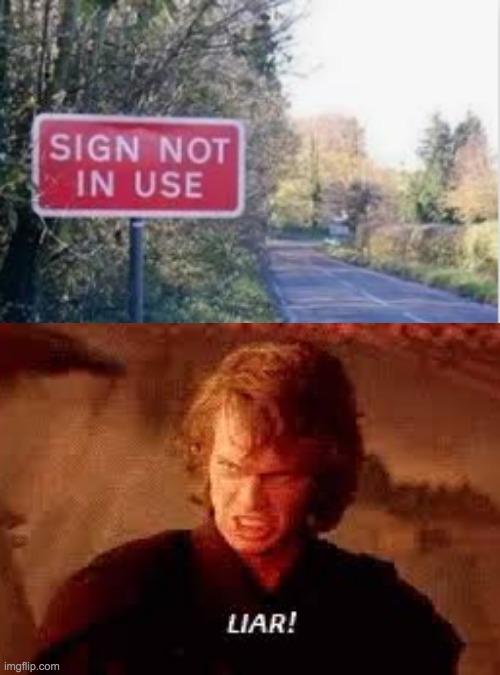 You lied to me | image tagged in anakin liar | made w/ Imgflip meme maker