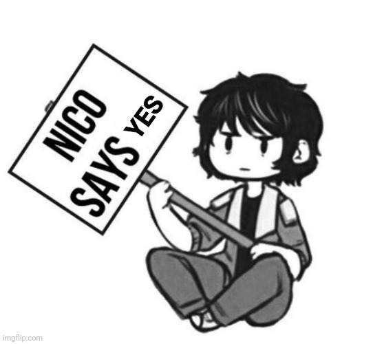 nico di angelo says no | YES | image tagged in nico di angelo says no | made w/ Imgflip meme maker