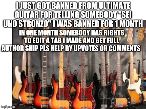 pls help | I JUST GOT BANNED FROM ULTIMATE GUITAR FOR TELLING SOMEBODY "SEI UNO STRONZO" I WAS BANNED FOR 1 MONTH; IN ONE MONTH SOMEBODY HAS RIGHTS TO EDIT A TAB I MADE AND GET FULL AUTHOR SHIP PLS HELP BY UPVOTES OR COMMENTS | image tagged in blank,bass,slap,memes | made w/ Imgflip meme maker